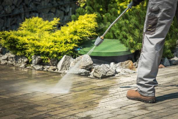 Best Driveway Pressure Washing  in Hernando Beach, FL